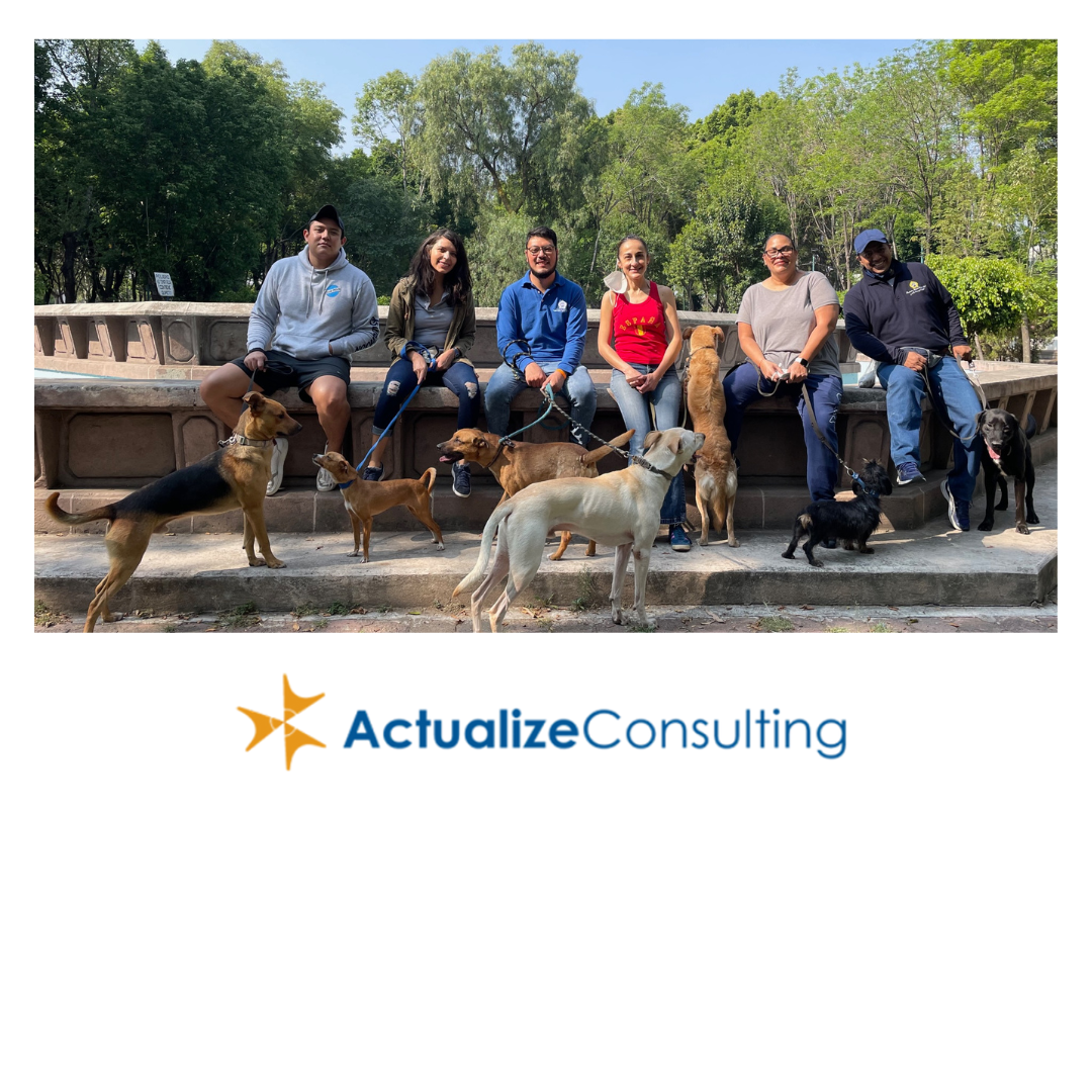 Actualize Consulting photo 4